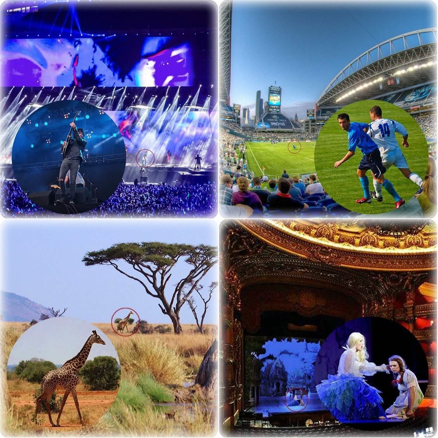 8x21 Small Compact Lightweight Binoculars